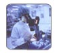 COMPUTER AND ELECTRONIC EQUIPMENT AND TELECOMMUNICATIONS ENVIRONMENTS